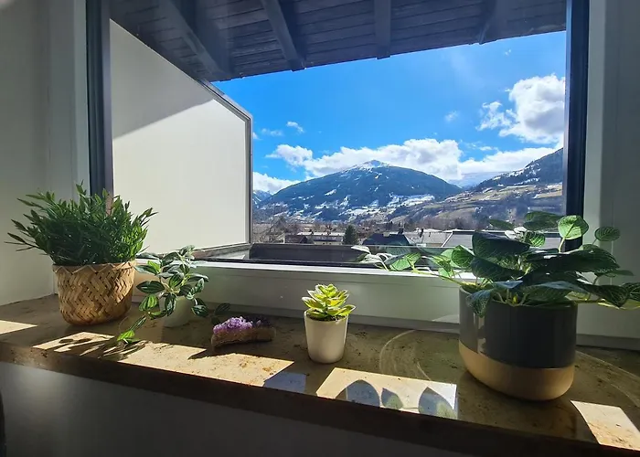 Alpen The View 公寓 *